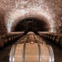 Bodegas CARO wine tasting - Wine Paths